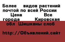 Более200 видов растений почтой по всей России › Цена ­ 100-500 - Все города  »    . Кировская обл.,Шишканы слоб.